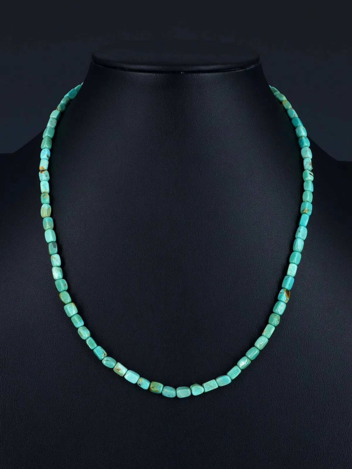 19" Native American Jewelry Single Strand Turquoise Necklace