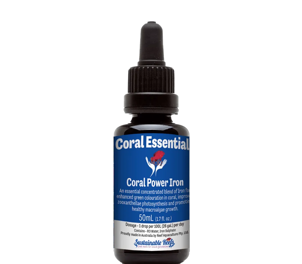 CE Coral Power Iron