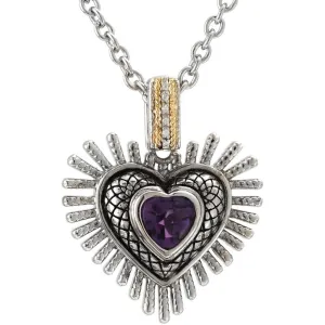 Copy of Andrea Candela Heart Shape Amethyst  Sterling Silver Necklace - Pluma Collection
