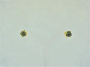 Heaslip, Natasha – Gold and Peridot Studs