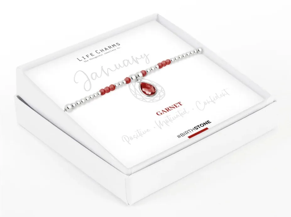 Life Charms January Birthstone Bracelet