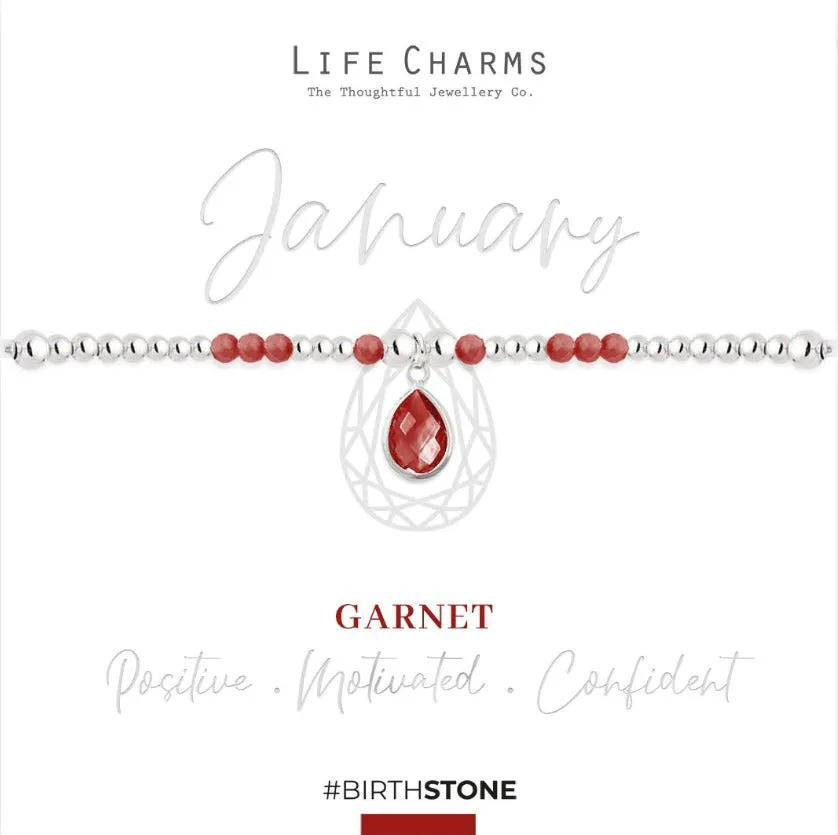 Life Charms January Birthstone Bracelet