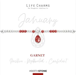 Life Charms January Birthstone Bracelet