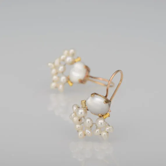 Mother of Pearl Fan Earrings