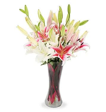 Radiant lilies