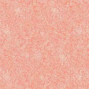 R.Paper Co.Basic-Champagne