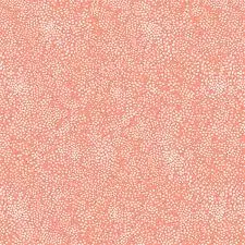 R.Paper Co.Basic-Champagne