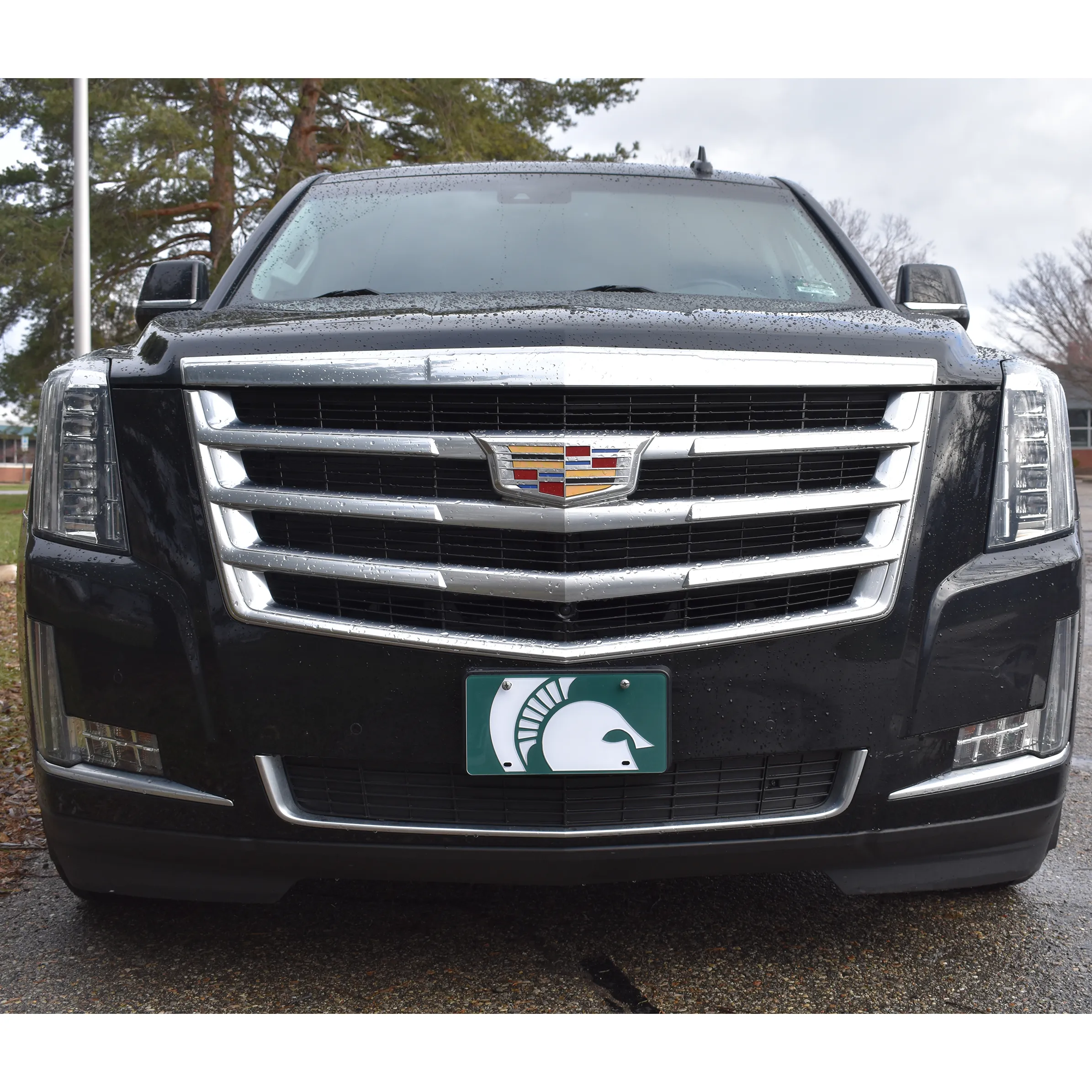 Spartan Helmet Mega Logo License Plate