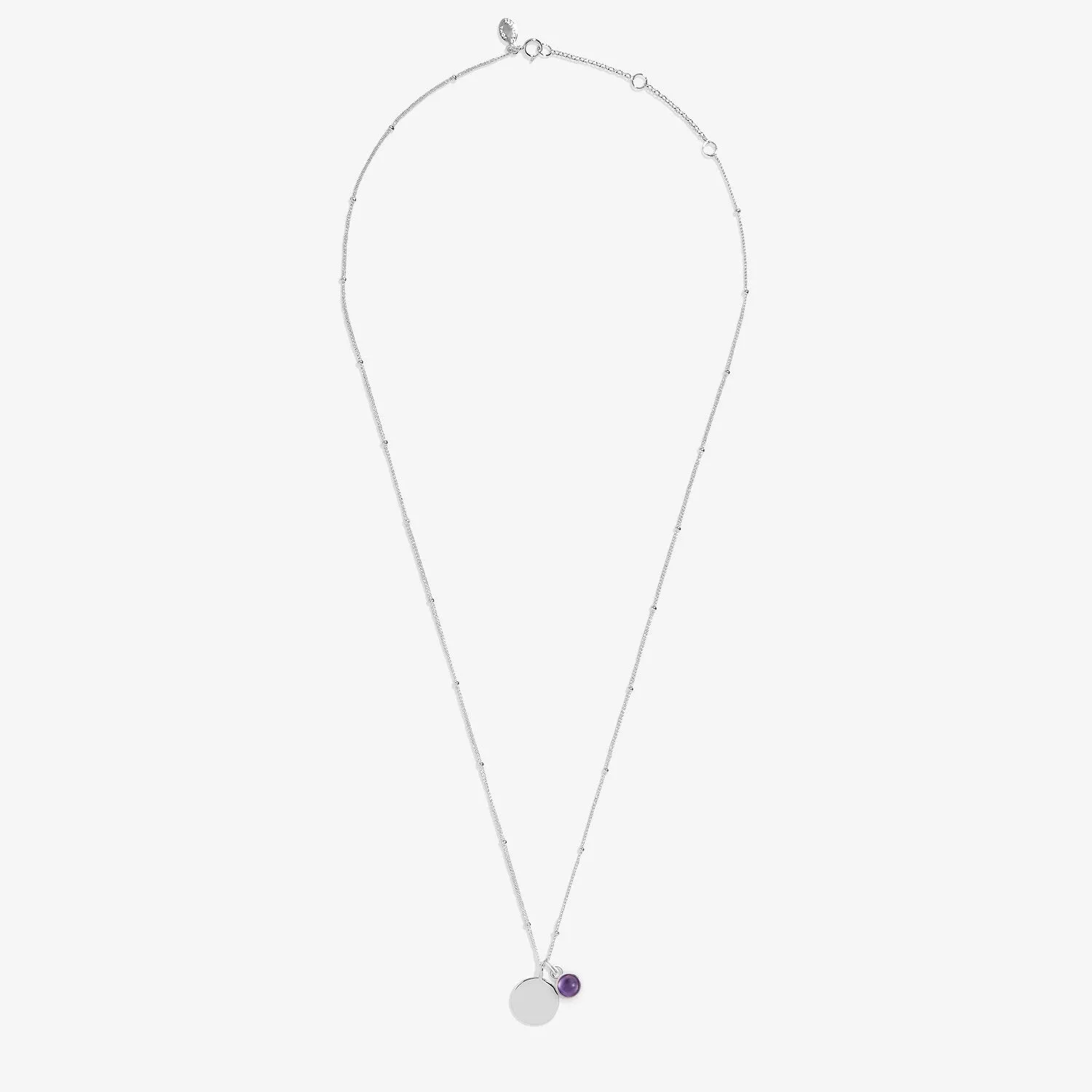 Sterling Silver Birthstone A Little February Necklace JJS0071