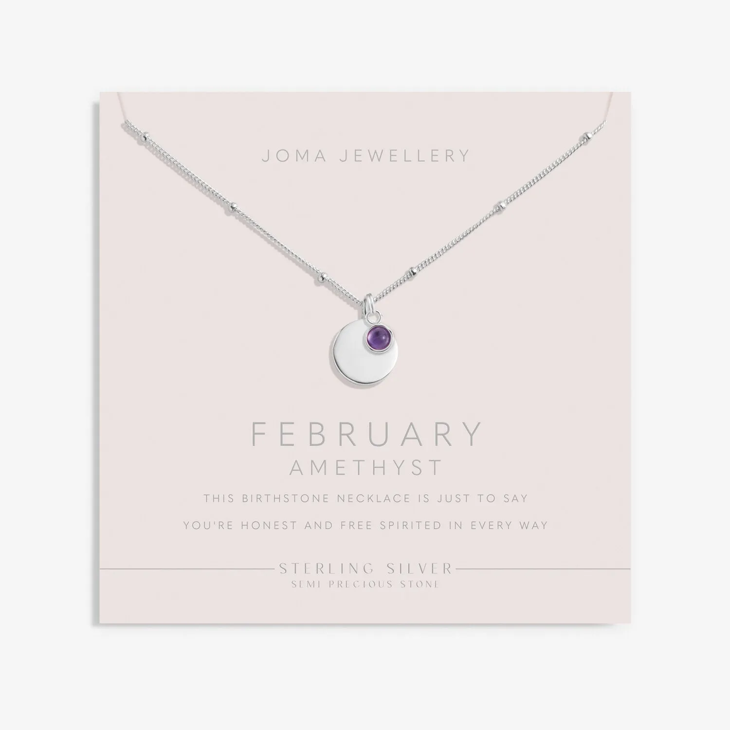 Sterling Silver Birthstone A Little February Necklace JJS0071